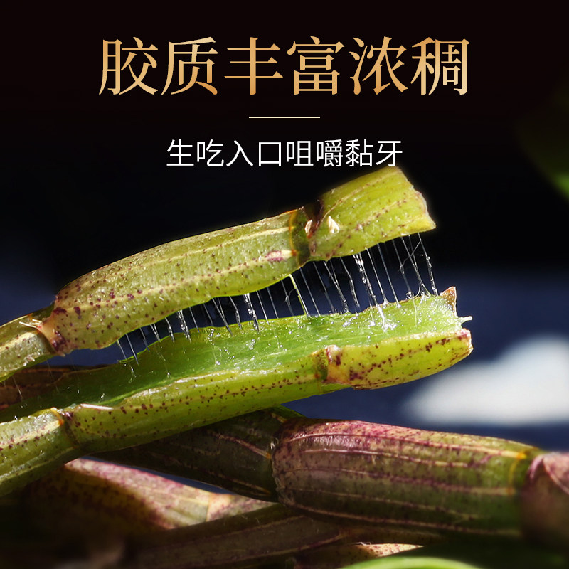 康恩贝铁皮鲜条100g云南雁荡山枫斗 康恩贝高山铁皮石斛/枫斗