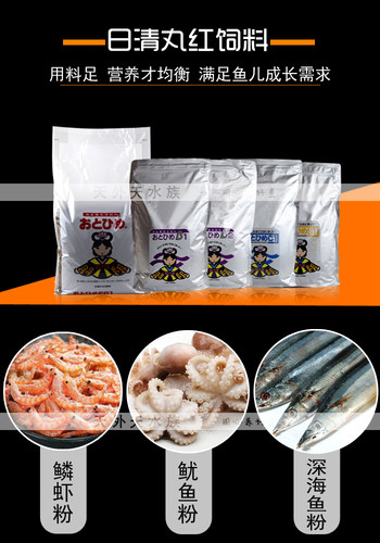日本日清丸红B1B2C1S1饲料热带鱼金鱼通用鱼粮孔雀鱼灯鱼兰寿鱼食 - 图0