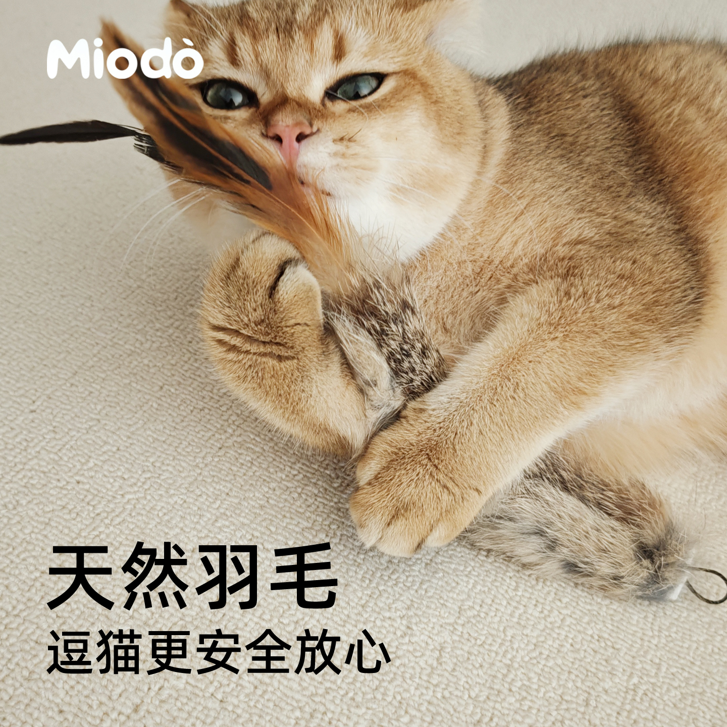 猫玩具天然真兔毛羽毛逗猫棒啃咬逗猫毛绒尾巴可挂墙猫咪丰容玩具 - 图0