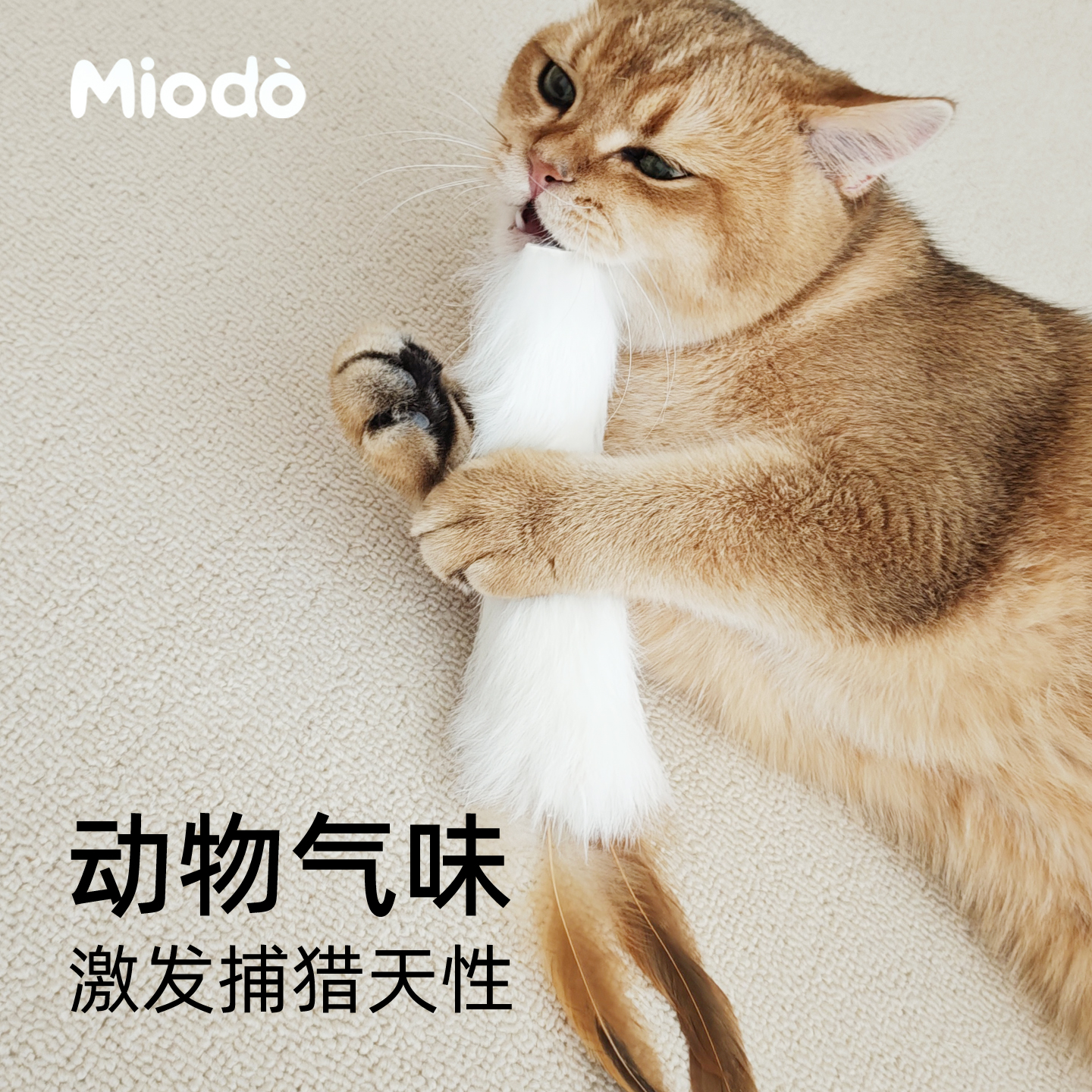 猫玩具天然真兔毛羽毛逗猫棒啃咬逗猫毛绒尾巴可挂墙猫咪丰容玩具 - 图2