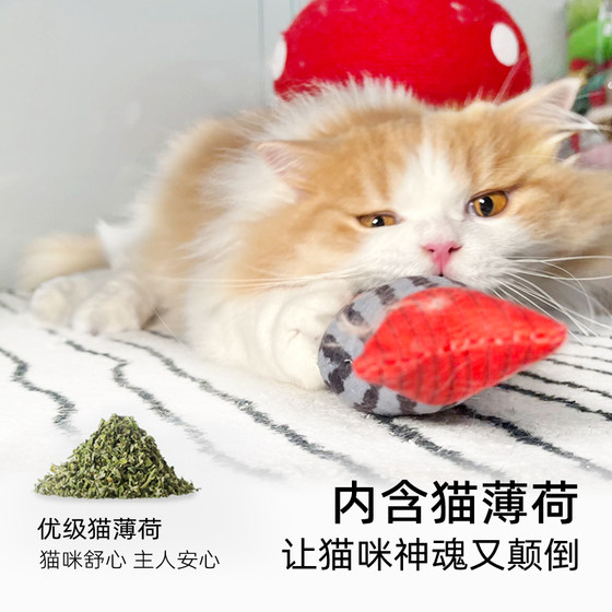 Simulated catnip fish is a self-stimulating tool to relieve boredom and amuse cats