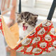 Cage cat hammock swing cat nest summer