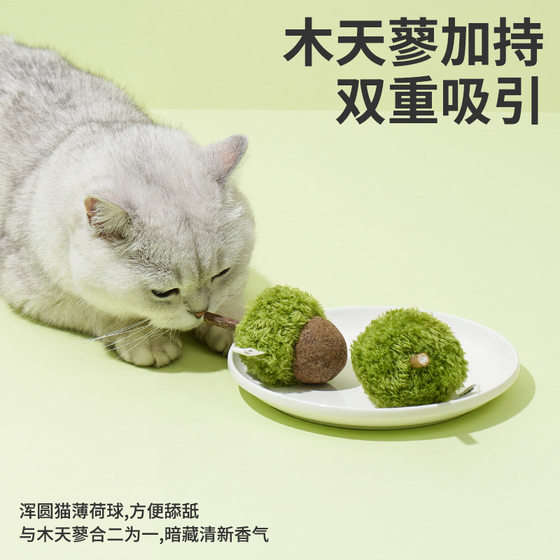 Cat Toy Teething Stick Wooden Polygonum Cat Mint