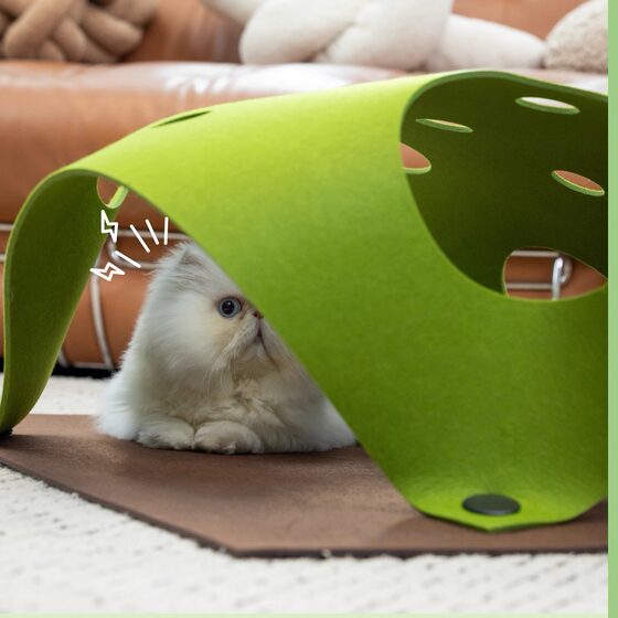 Cat Drill Play Mat Tunnel Shelter House
