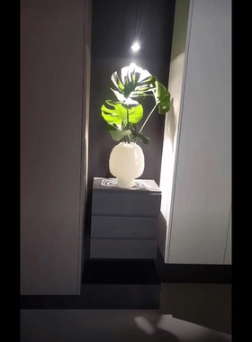水培插花加厚大口径花瓶摆件法式