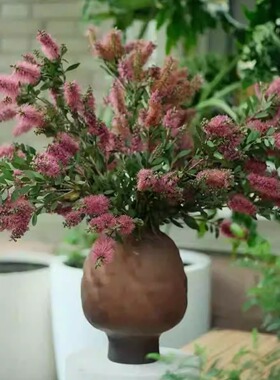 水培插花大肚花瓶玻璃简约摆件