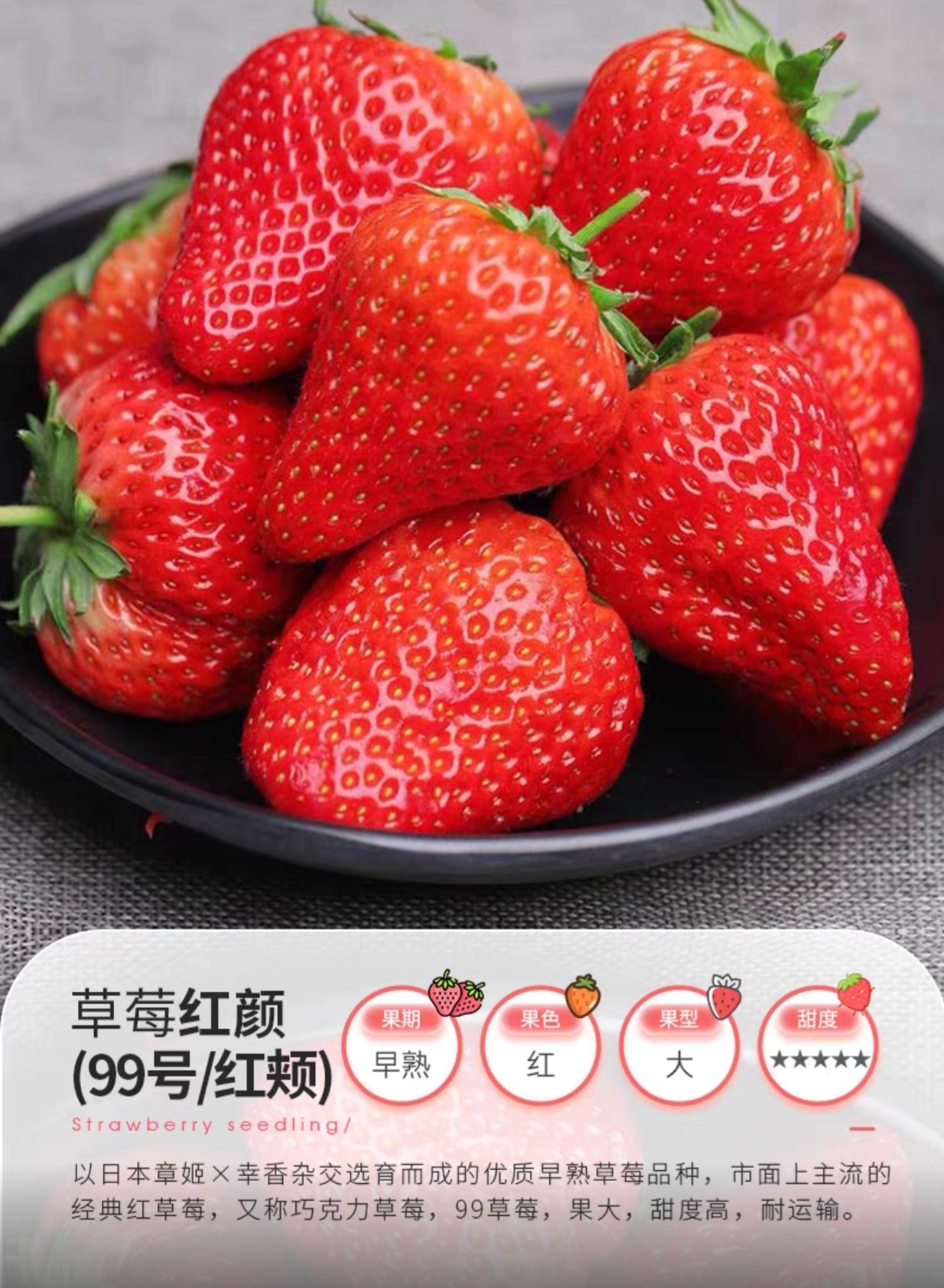 【7方小盆苗】香野奶油粉玉妙七建德白草莓秧苗盆栽,淘宝优惠券,粉丝福利购,淘宝优惠卷