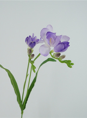 仿真花小苍兰干花绢花插花摆件