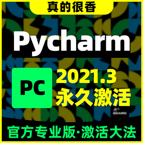 pycharm idea 2023专业版永久激活python anaconda远程软件安装包-图2