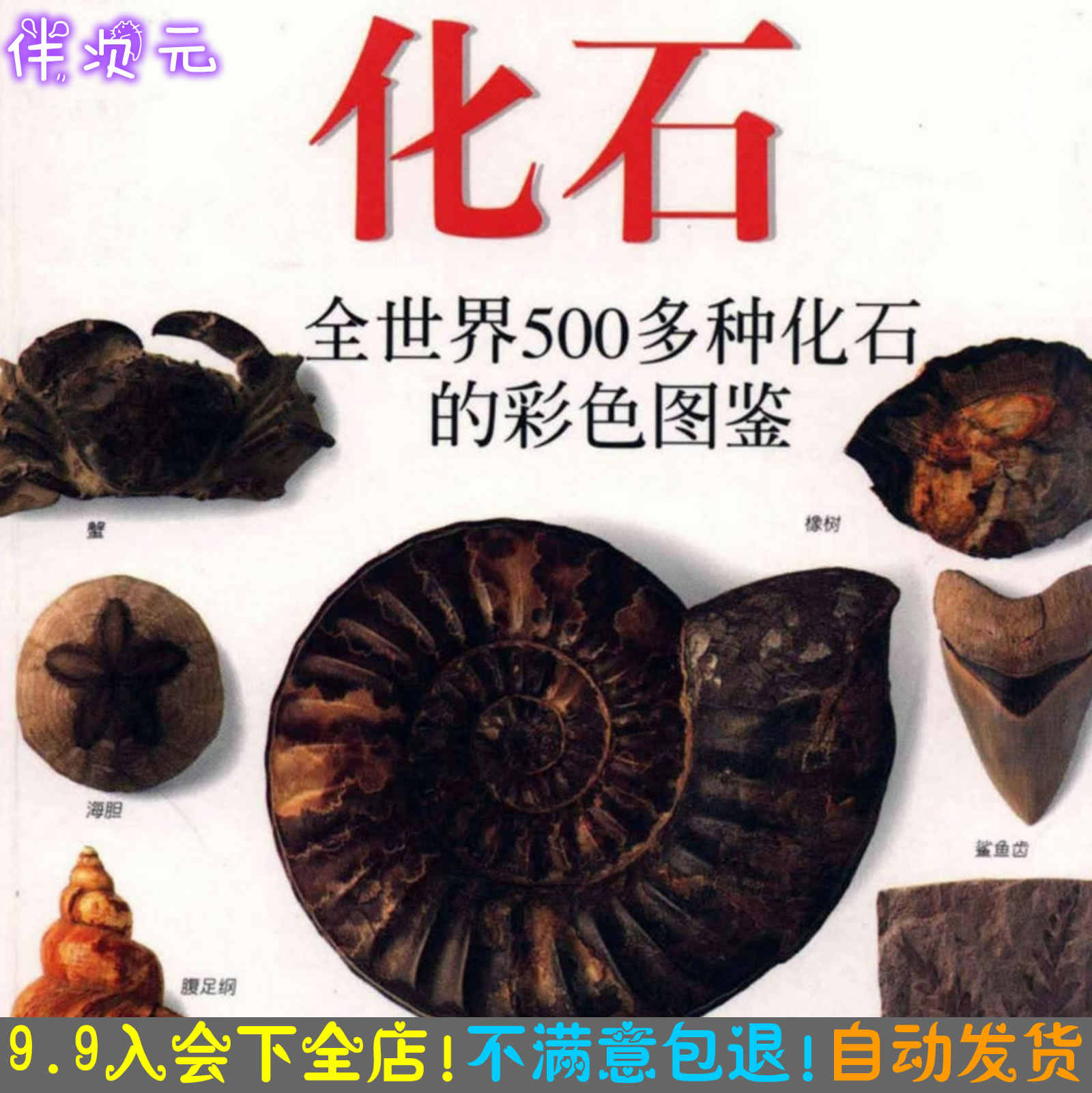 化石图鉴 新人首单立减十元 21年10月 淘宝海外