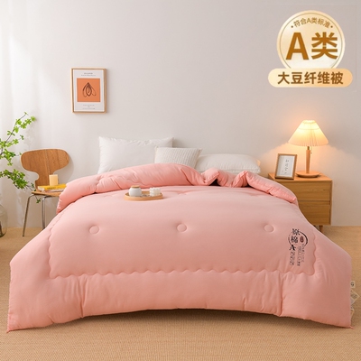 2025新款A类母婴级水洗原棉大豆纤维棉被子空调夏被芯春秋被冬被