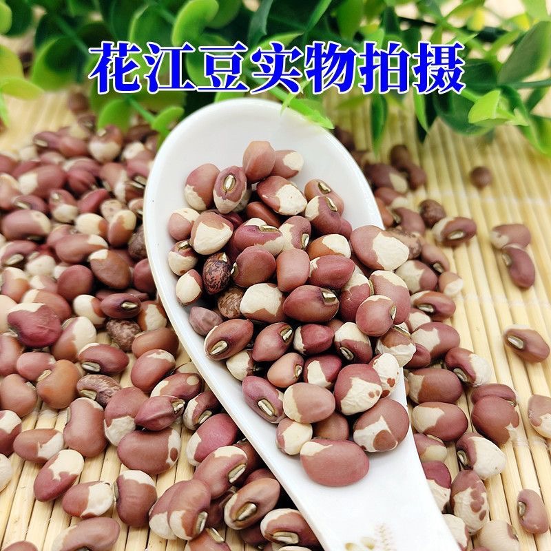 新货花豇豆江豆花豆子食用农家自种煮粥红饭豆五谷杂粮5斤粗粮-图2