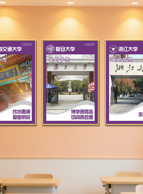 中国名校985211名牌大学海报挂画