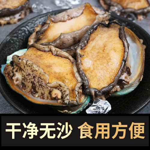 鲜冻鲍鱼特大个新鲜海捕超大活体鲍鱼捞饭渤海贝类海鲜水产包邮 - 图2