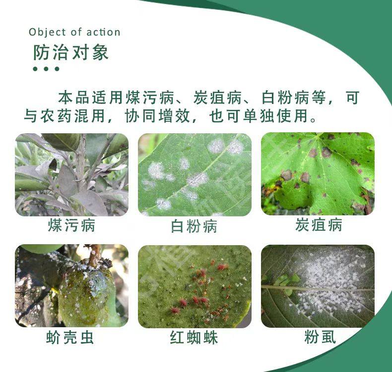 国光乐圃矿物油增助效剂烟煤病专用蚧壳虫红蜘蛛白粉病农药煤污病,淘宝优惠券,粉丝福利购,淘宝优惠卷