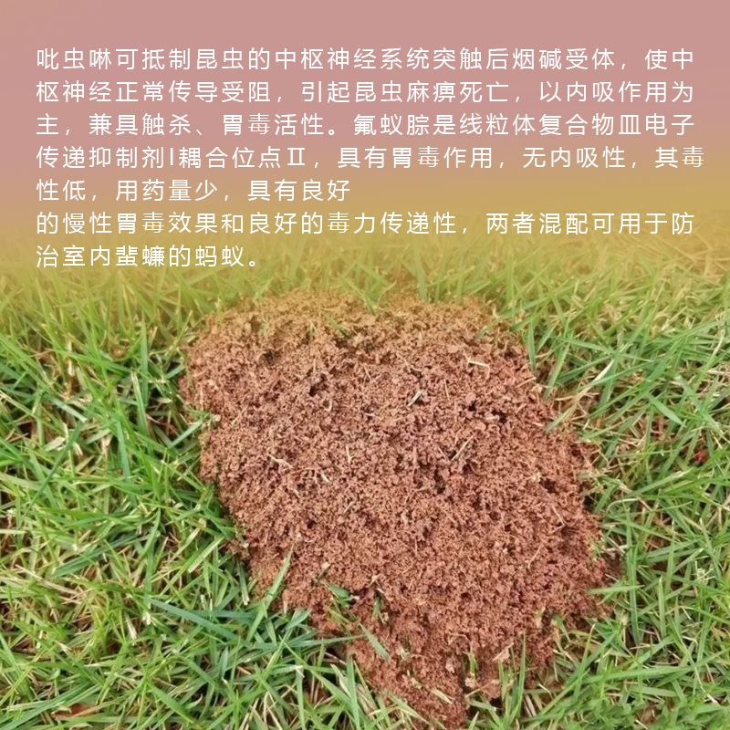 润德高举专用蚂蚁药氟蚁腙吡虫啉草坪居家工厂灭火蚂蚁蜚蠊蟑螂药 - 图1