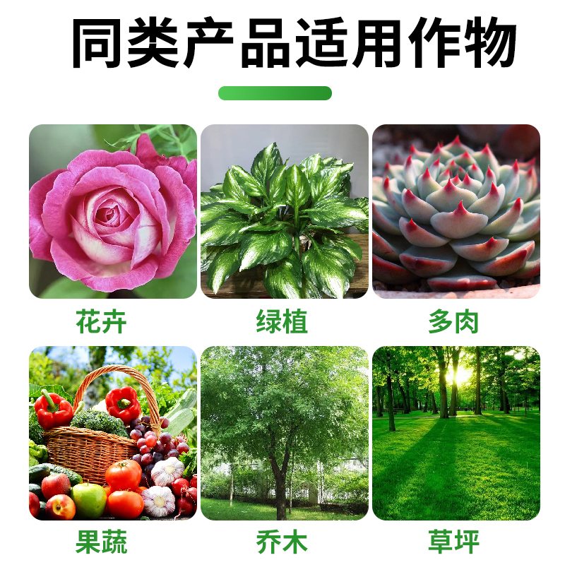 国光多菌灵杀菌剂植物花卉黑斑病月季多肉白粉病烟煤病花药多茵灵-图1