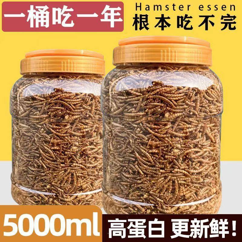 面包虫干黄粉虫干仓鼠粮食龟粮鱼食八哥鸟食芦丁鸡饲料宠物零食,淘宝优惠券,粉丝福利购,淘宝优惠卷