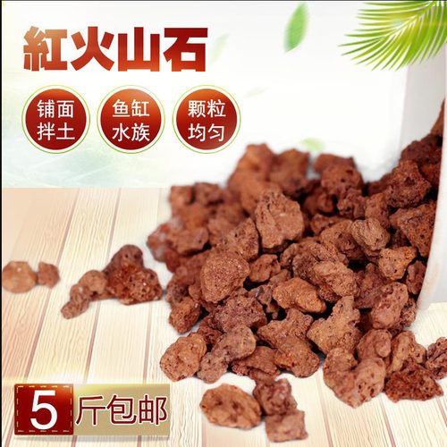 云南腾冲优质天然火山石颗粒火山岩兰花多肉拌土铺面鱼缸底砂过滤 - 图0