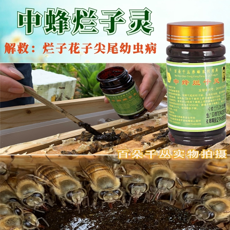 中蜂烂子病药蜜蜂中囊抗体喂蜂神器养蜂专用工具包邮意蜂中烂子灵