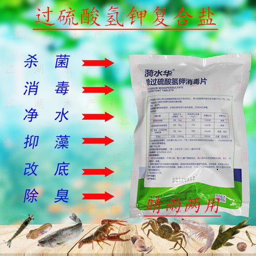 单过硫酸氢钾片固体复合二氧化氯片外用专用杀菌消毒改底除臭净水 - 图0