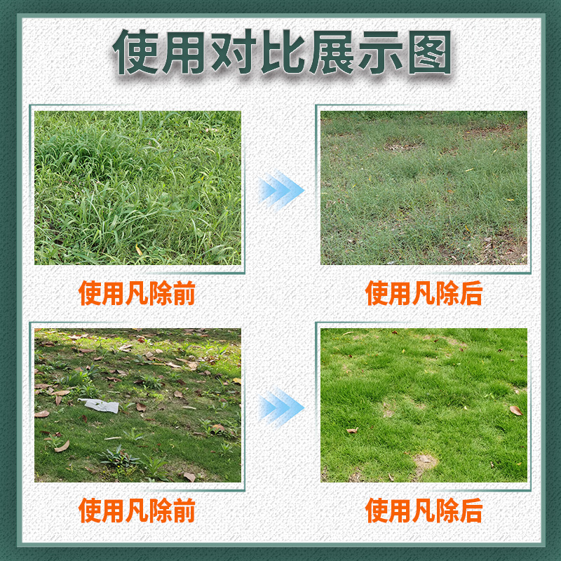 凡除草坪除草专用剂百慕大马尼拉台湾草除杂草除阔叶莎草马唐盈科 - 图2