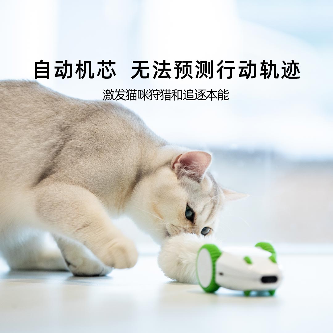 贵为疯狂老鼠猫电动玩具 猫咪自嗨解闷 自动逗猫棒 幼猫宠物用品 - 图2