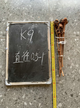 黑果木鸟站杆木瘤毛料云南原生态