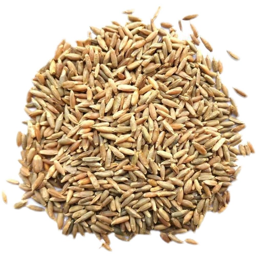 Семена семян семян виколор полисахарида широкие семяны -семена ржаной травы многолетние курицы, утка, свинина, крупный рогатый скот, овца, семена пастух травы