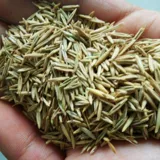 Семена семян семян виколор полисахарида широкие семяны -семена ржаной травы многолетние курицы, утка, свинина, крупный рогатый скот, овца, семена пастух травы