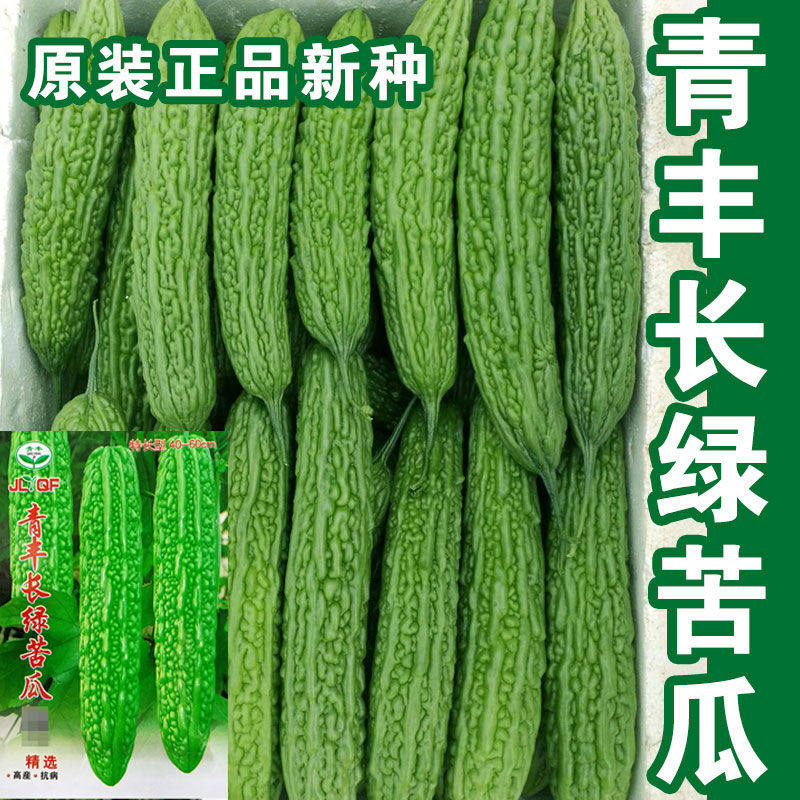 长绿苦瓜种子高产疙瘩绿苦瓜四季抗病特大苦瓜种籽耐热抗低温蔬菜,淘宝优惠券,粉丝福利购,淘宝优惠卷