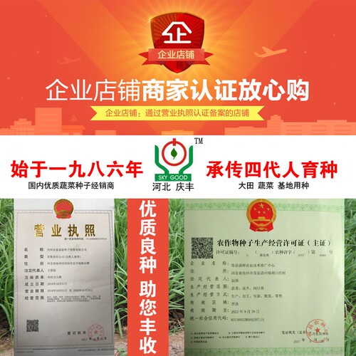 国审大豆种子黄豆种子中黄37高产大豆种子中黄13大豆不炸角春夏播 - 图2