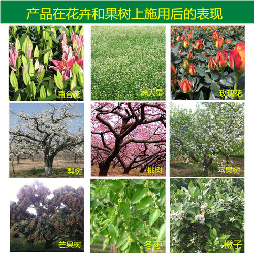 百阳垦果尔花果丰水溶性肥料果树肥瓜果蔬菜肥营养液营养土叶面肥 - 图0