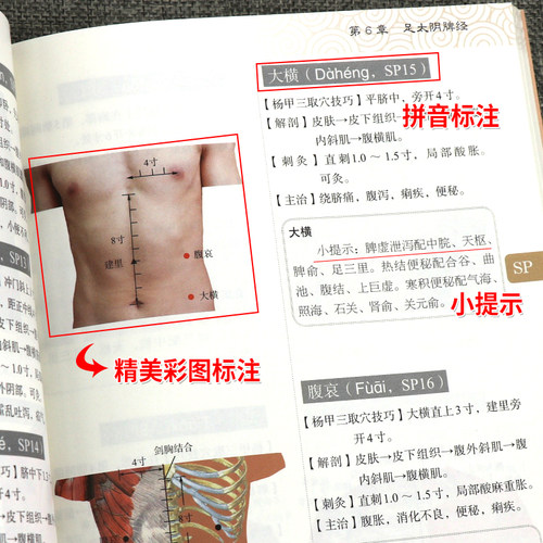 杨甲三针灸取穴图解 取穴技巧 速记歌诀 针灸穴位的特异性等进行了详细介绍使读者更直观更准确地掌握取穴部位和要领9787030579492 - 图1