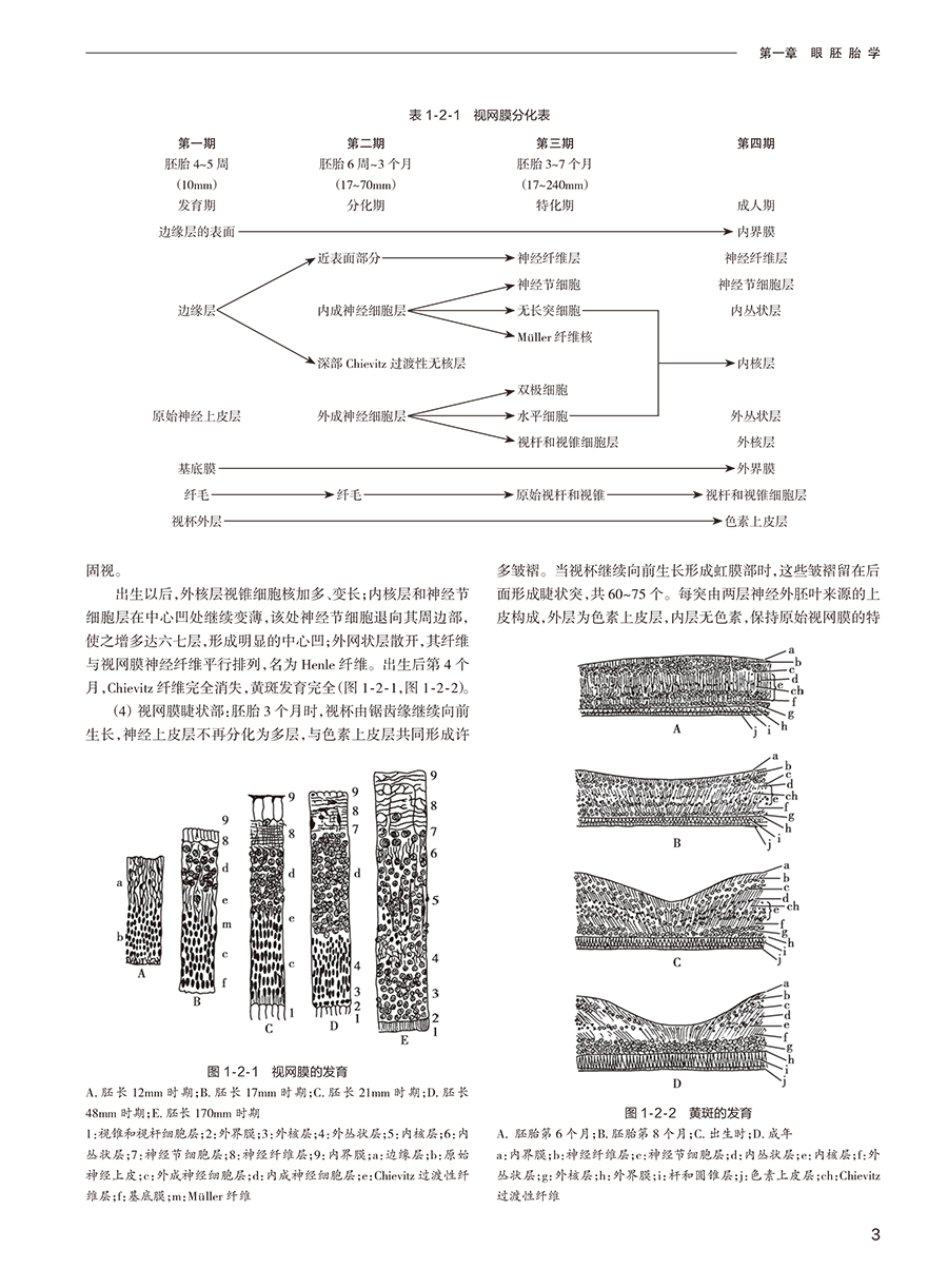 新版 实用眼科学 第4版 黎晓新 现代眼科疾病病因检查手段诊断方法手术治疗操作解剖生理基础护理 临床实用参考书 人民卫生出版社 - 图2