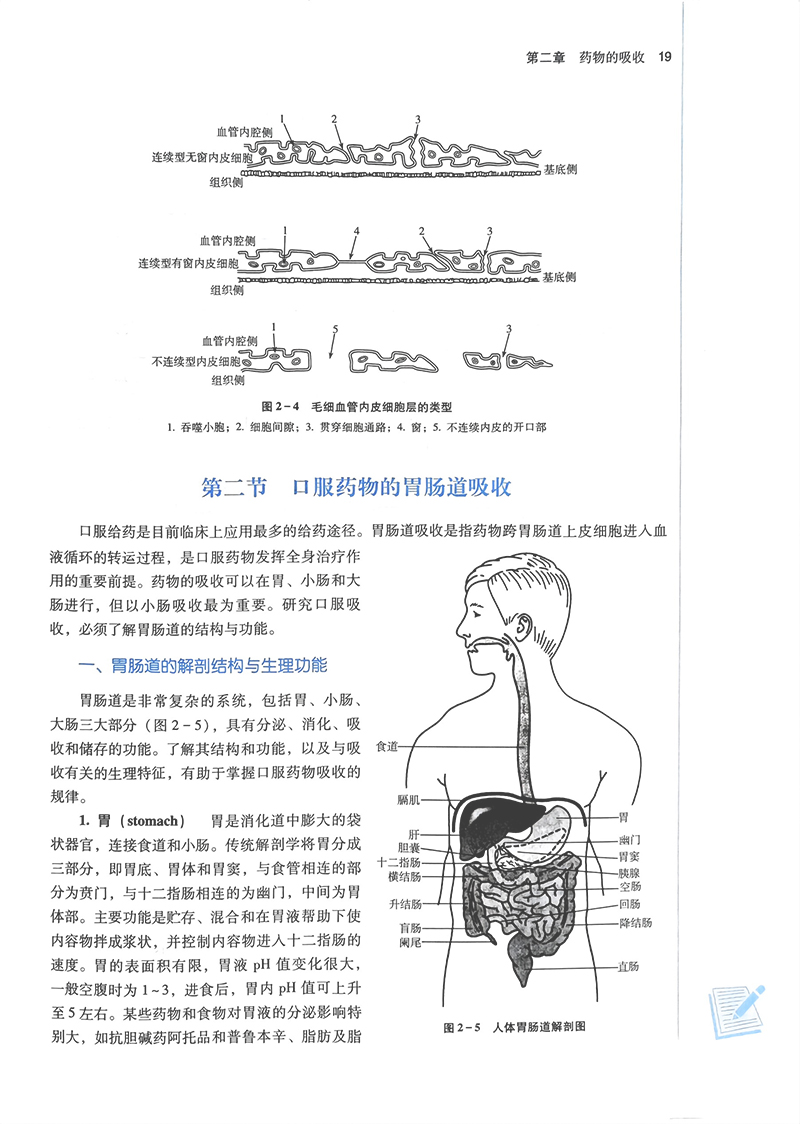 生物药剂学与药物动力学 新世纪第三版3版 龚慕辛 贺福元 全国中医药行业高等教育十四五规划教材 中国中医药出版社9787513282475 - 图2