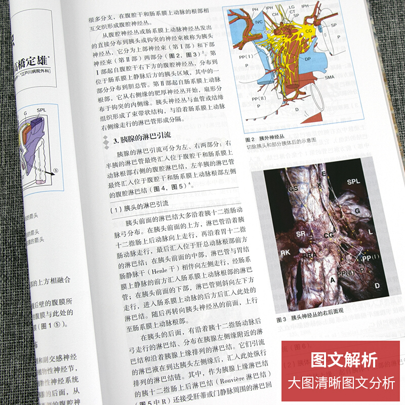 现货速发 要点与盲点 胰脾外科 翻译版  木村 理 主编 董家鸿 主译 胰腺疾病外科学 脾疾病外科学 人民卫生出版社9787117106764