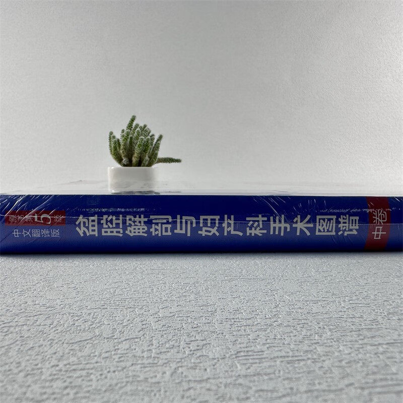 盆腔解剖与妇产科手术图谱中卷 原书第5版解剖图谱手术医学实用妇产科学妇科医学书内镜检查与内镜手术妇产科主治医师用书
