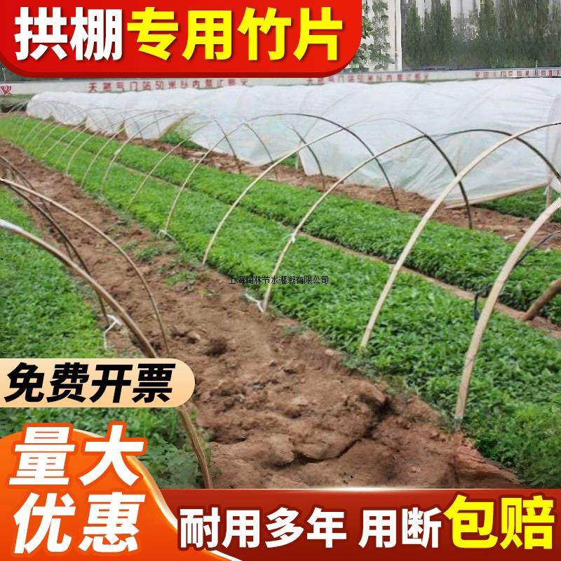 10根专拍竹片竹条菜园大棚拱棚支架蔬菜棚保温防寒过冬搭架竹子条,淘宝优惠券,粉丝福利购,淘宝优惠卷