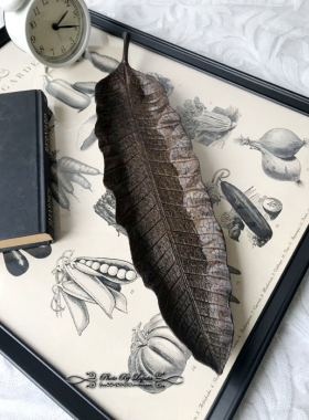 树叶树脂做旧装饰盘美式乡村