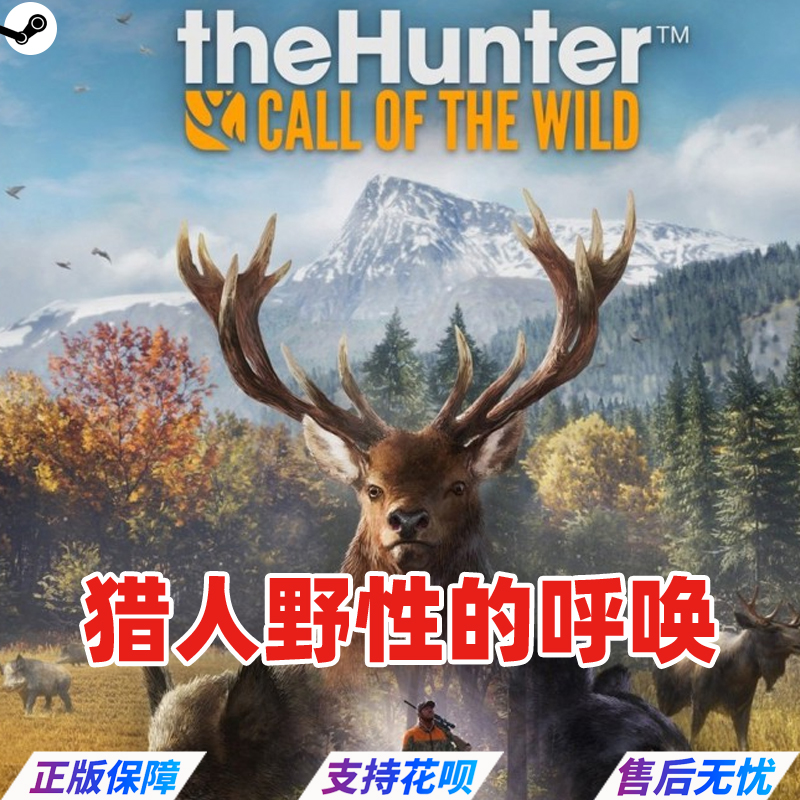 PC中文正版steam 猎人野性的呼唤/猎人荒野的召唤  theHunter: Call of the Wild 全拓展DLC  现代步枪包 - 图3