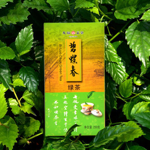 天福茗茶 碧螺春茶叶四川特产绿茶茶叶250g 2024春茶新茶