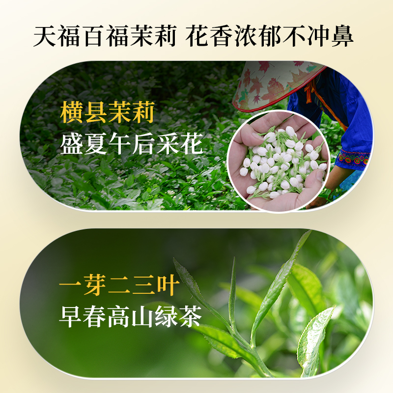 天福茗茶百福茉莉花茶浓香型一级广西横县茉香绿茶茶叶200g - 图1