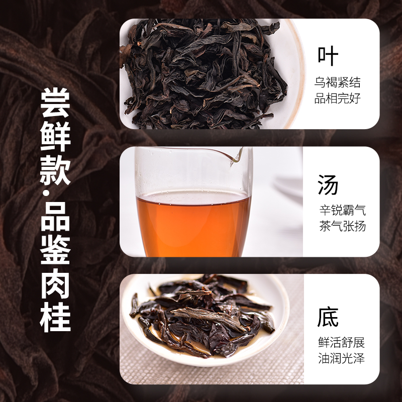 【会员专属】天福茗茶试饮品鉴装 特级肉桂乌龙茶武夷岩茶盒装17g