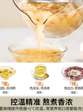 九阳养生壶家用炖煮一体
