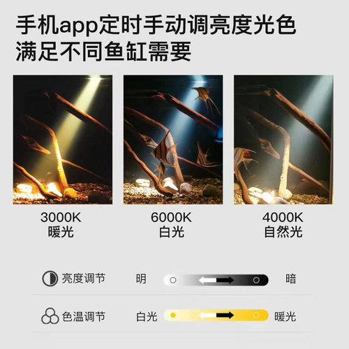 定时鱼缸射灯变焦南美造景雷龙专用灯原生水草灯三湖防水小鱼缸灯 - 图2