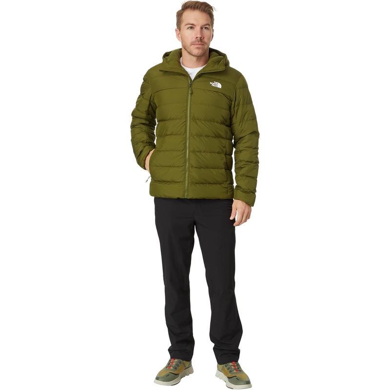 代购THE NORTH FACE北面男士羽绒服防风保暖防水保暖外套连帽 - 图2