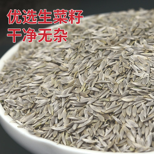 【买5送1】长白山老家生菜籽粉现磨纯原粉熟宜配黄瓜籽粉生菜子粉 - 图0
