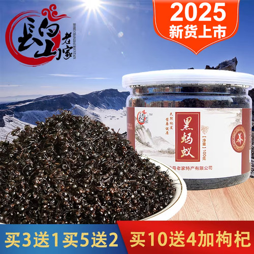3送1长白山老家 大黑蚂蚁干拟黑多刺蚁泡养生酒料可打山酸蚂蚁粉 - 图0