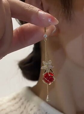 红色长款永生花流苏耳环设计感网红百搭耳饰2022新款银针潮
